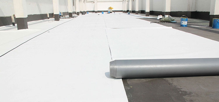 Thermoplastic Polyolefin Roofing Glendora